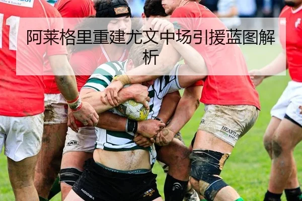 阿莱格里重建尤文中场引援蓝图解析