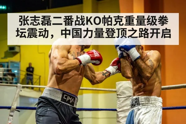 Chinese heavyweight boxer